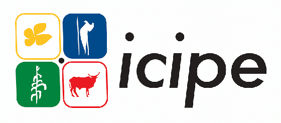 ICIPE